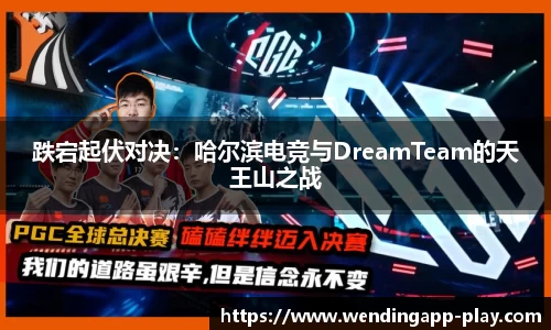 问鼎娱乐